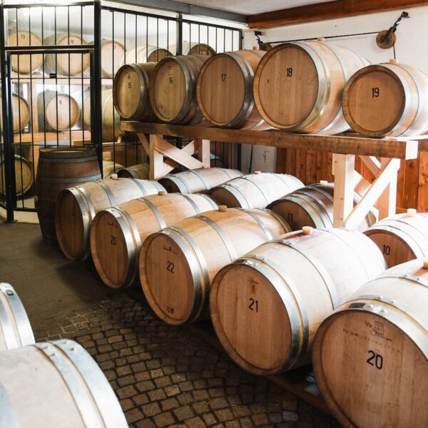 Rows of oak barrels, marked with numbers, are aging in a cellar.