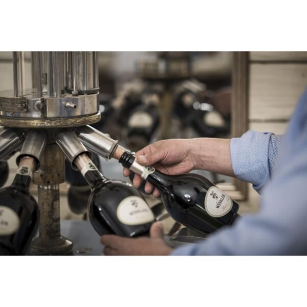 Hands placing a bottle of Winkler wine into an industrial corking machine in a winery. Wine bottling process.