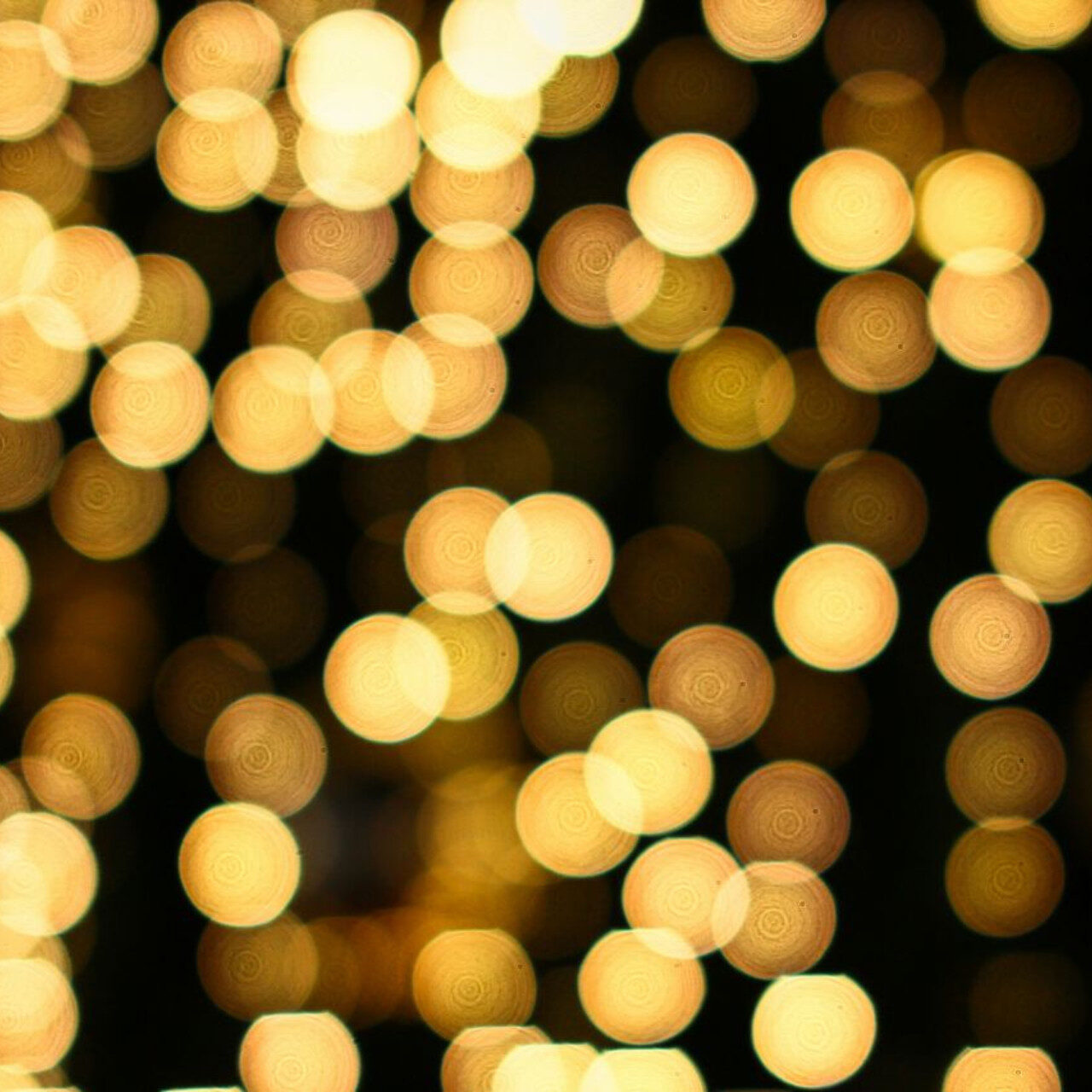 Blurred golden lights on a dark background, suggesting a festive or celebratory atmosphere.